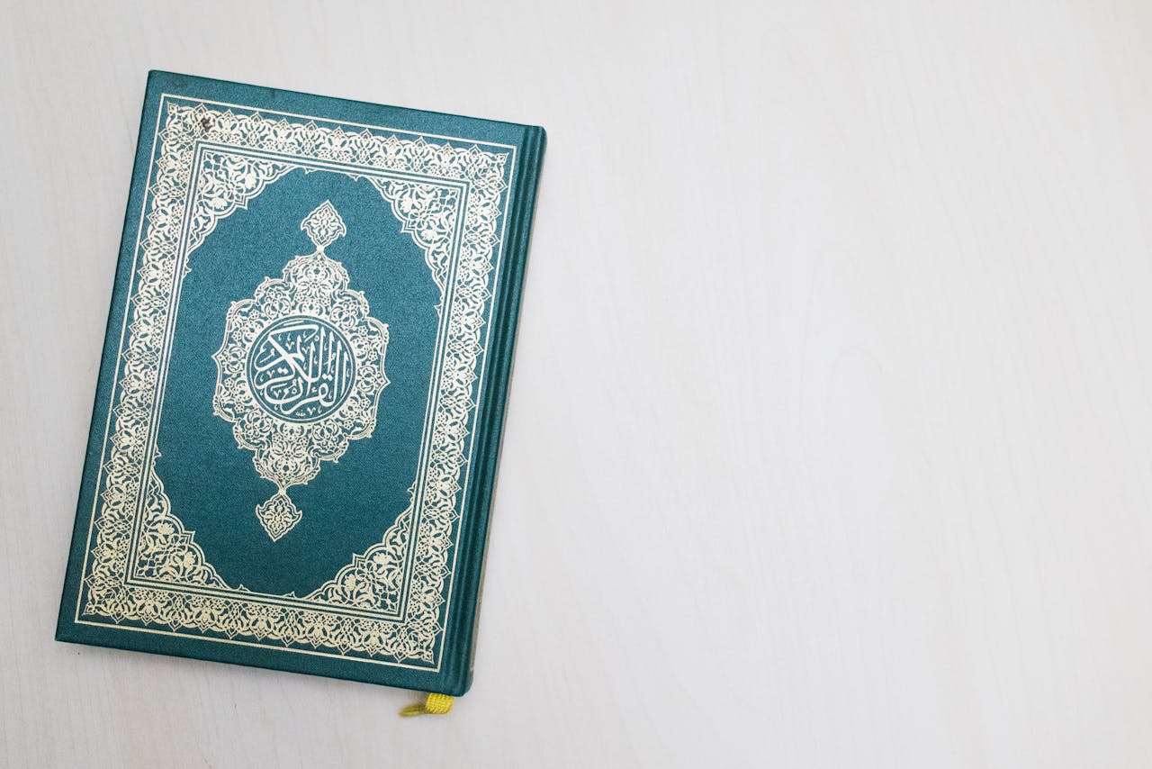 pexels photo 14074052.jpeg